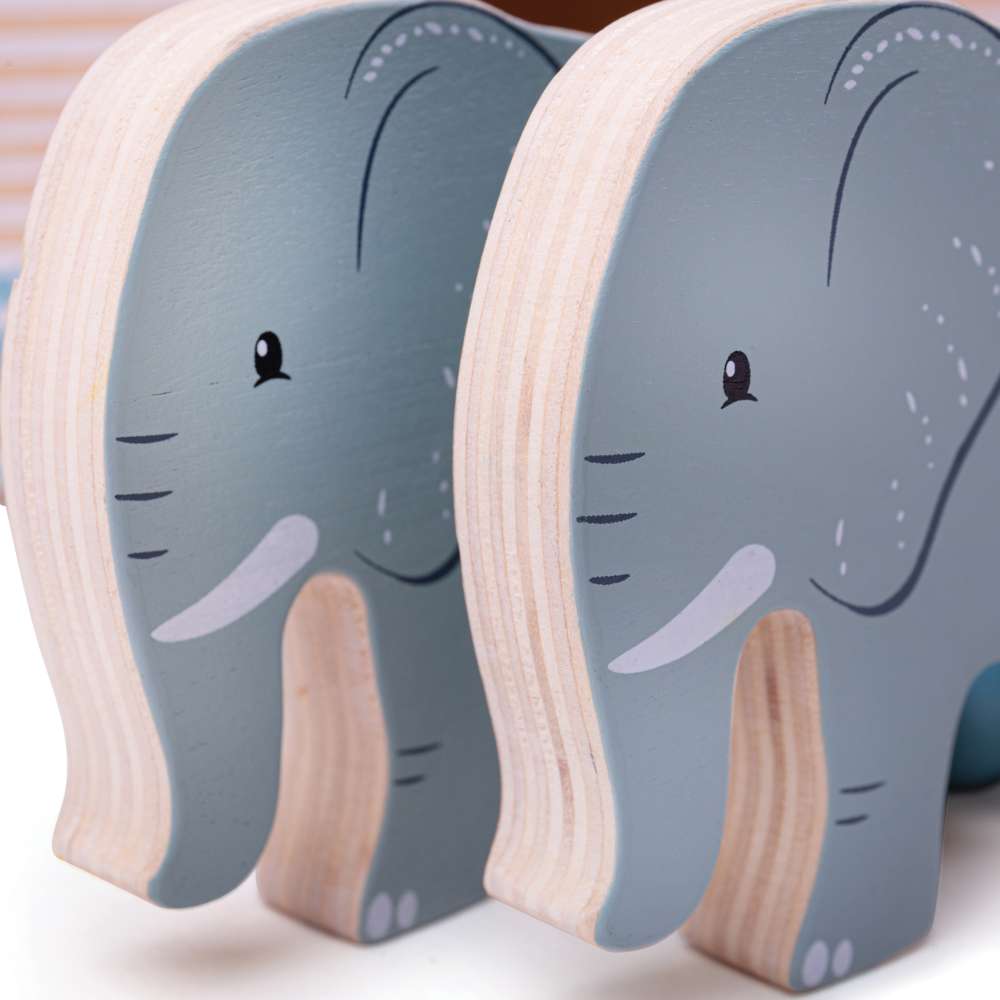 FSC® Certified Noah's Ark