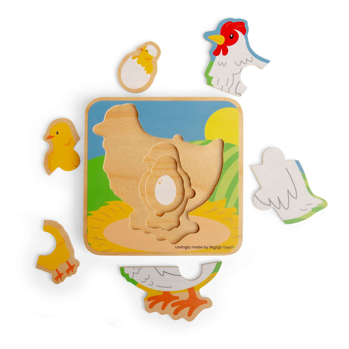Lifecycle Layer Puzzle - Chicken