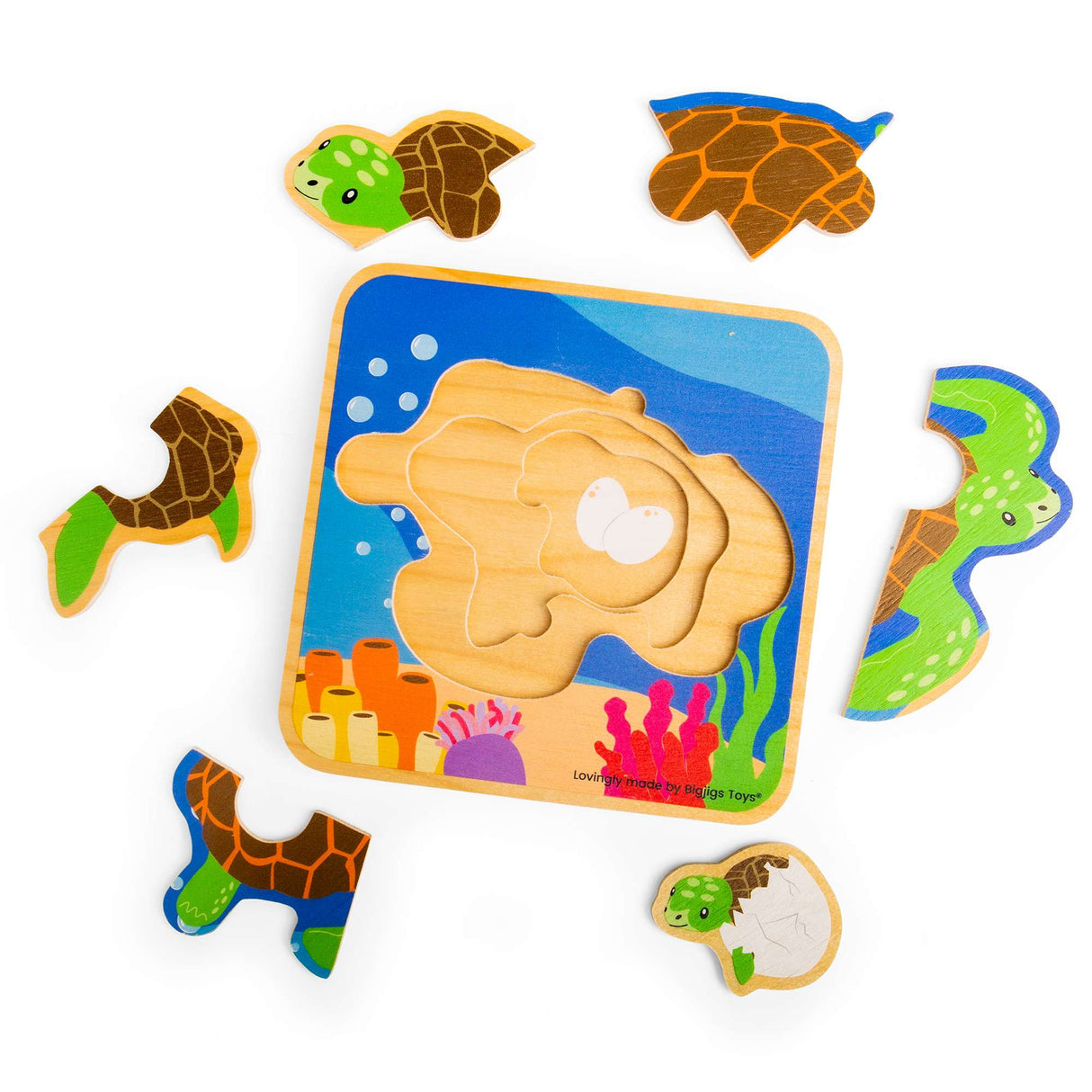 Lifecycle Layer Puzzle - Sea Turtle