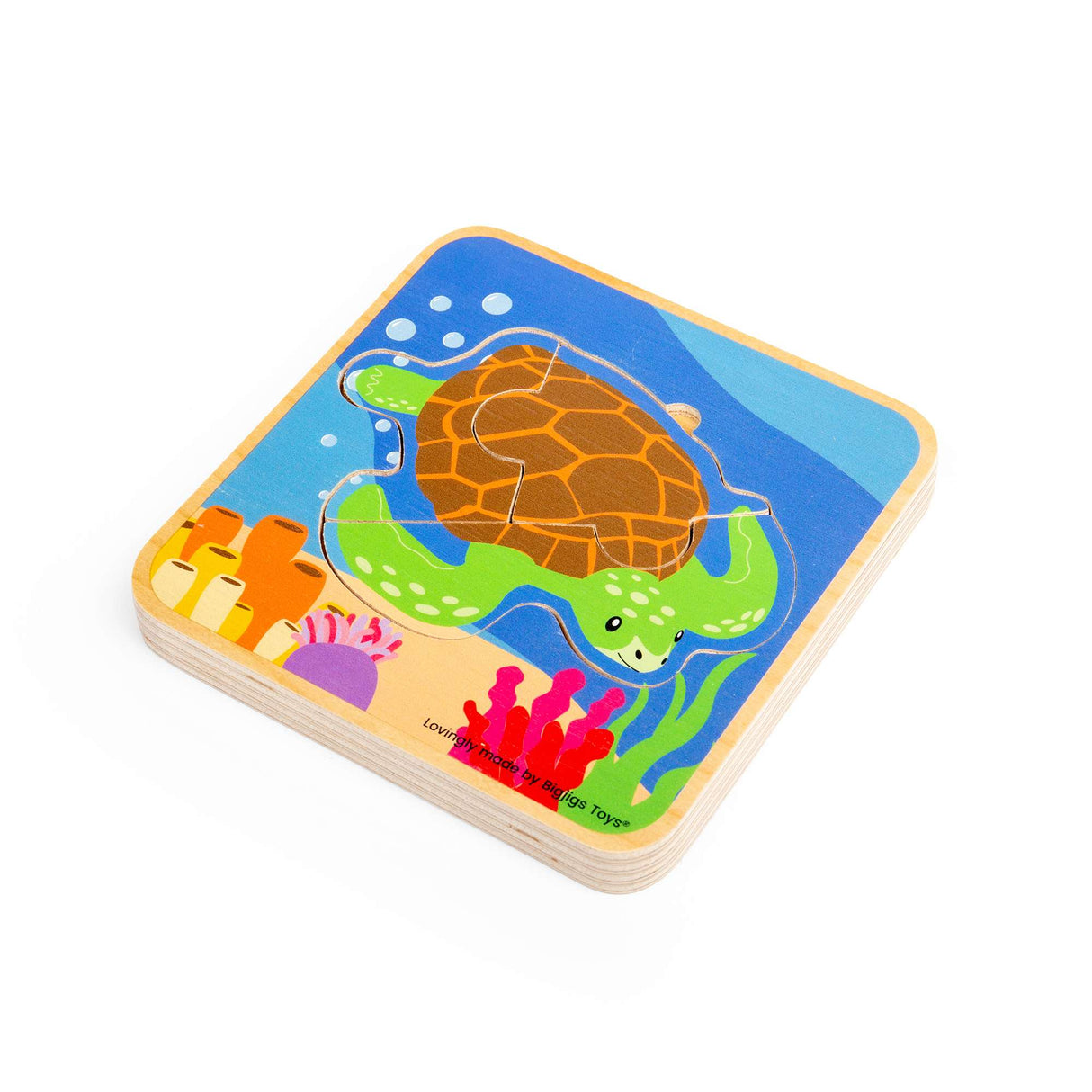 Lifecycle Layer Puzzle - Sea Turtle
