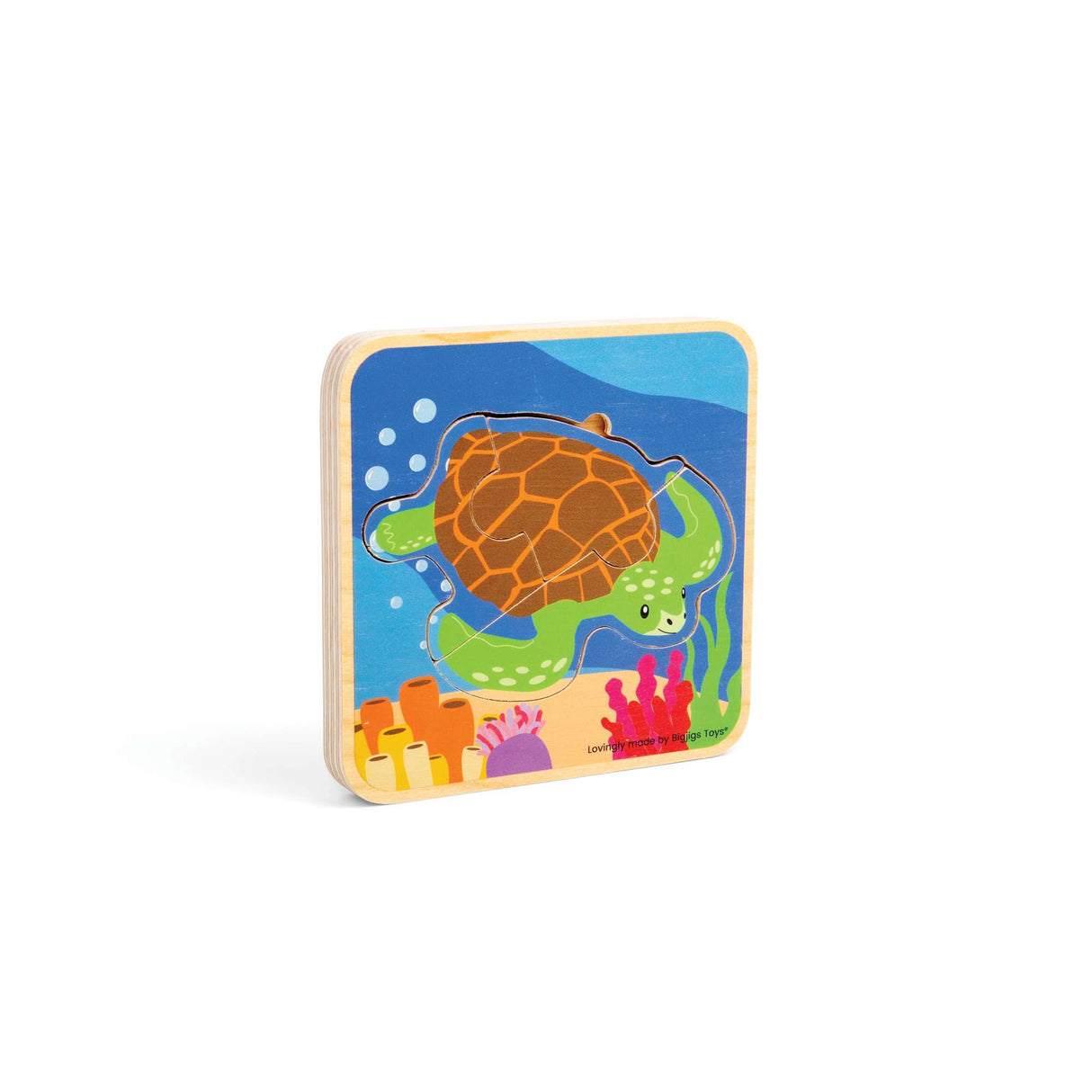 Lifecycle Puzzle - Sea Turtle