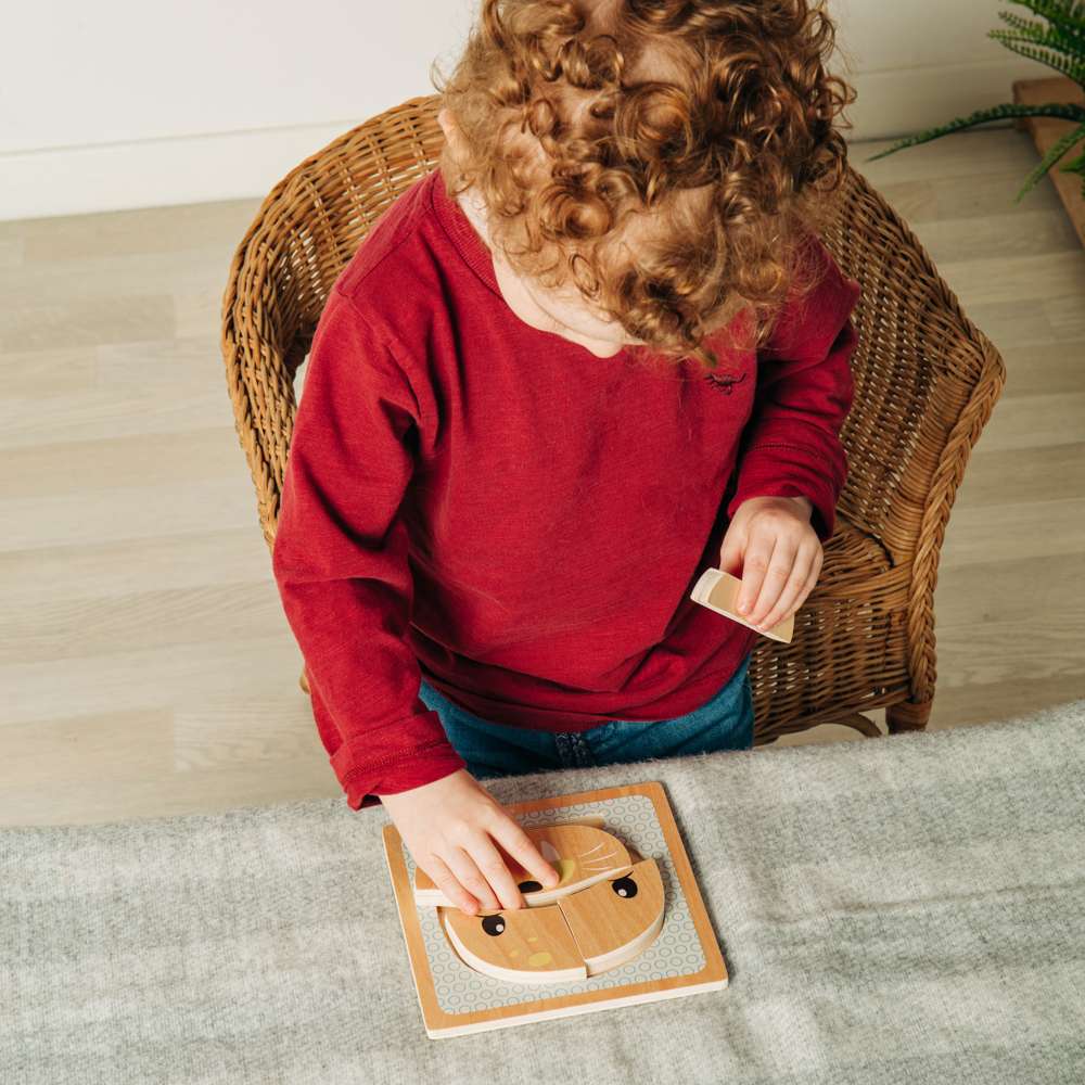 Seal Chunky Puzzle - Damaged Box