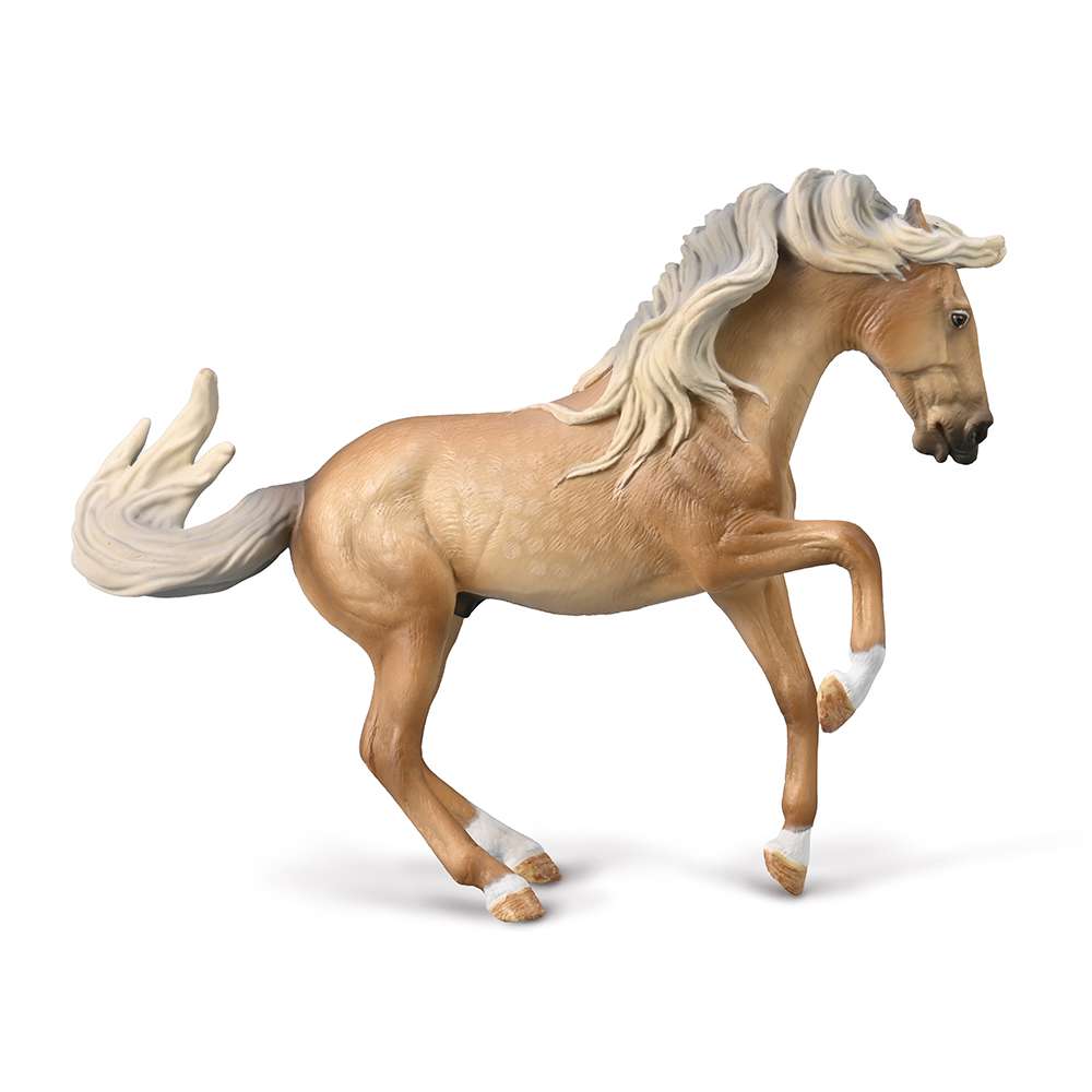 Lusitano Stallion (Sooty Palomino)