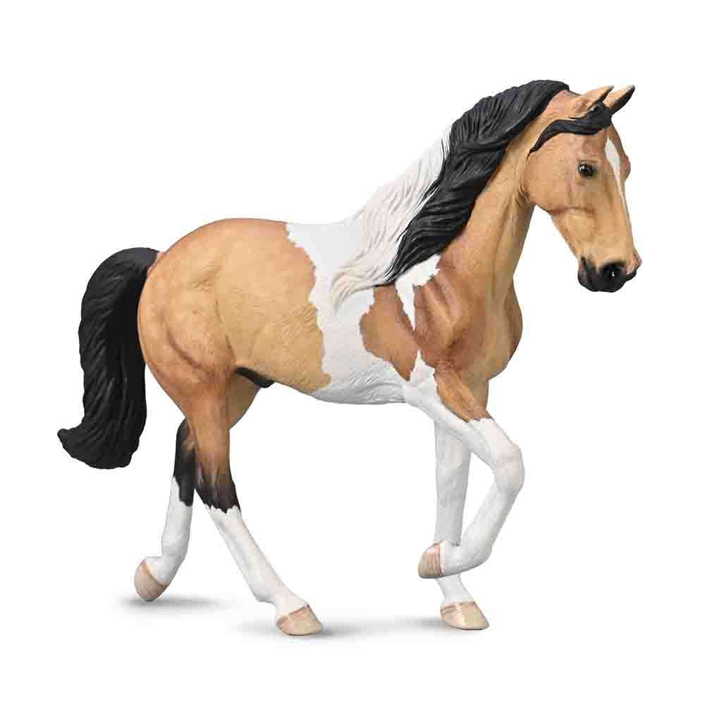 Tennessee Walking Horse Stallion - Buckskin Tobiano