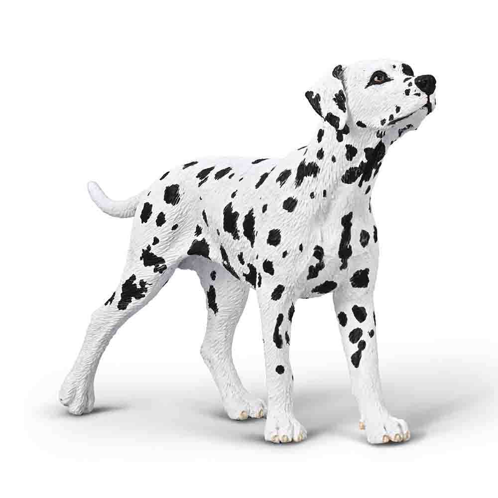 Dalmatian