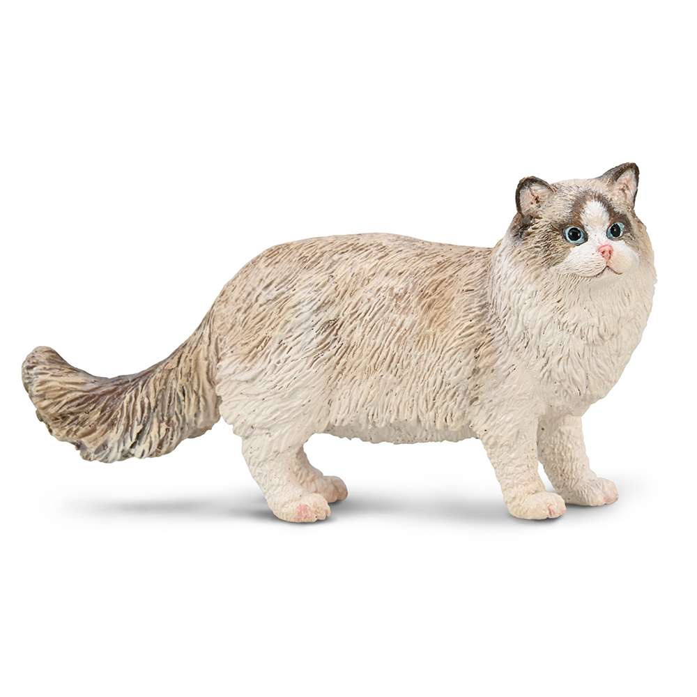 CollectA Ragdoll- Cat Toy Animal Figure, Collectable Pet & Wildlife Models