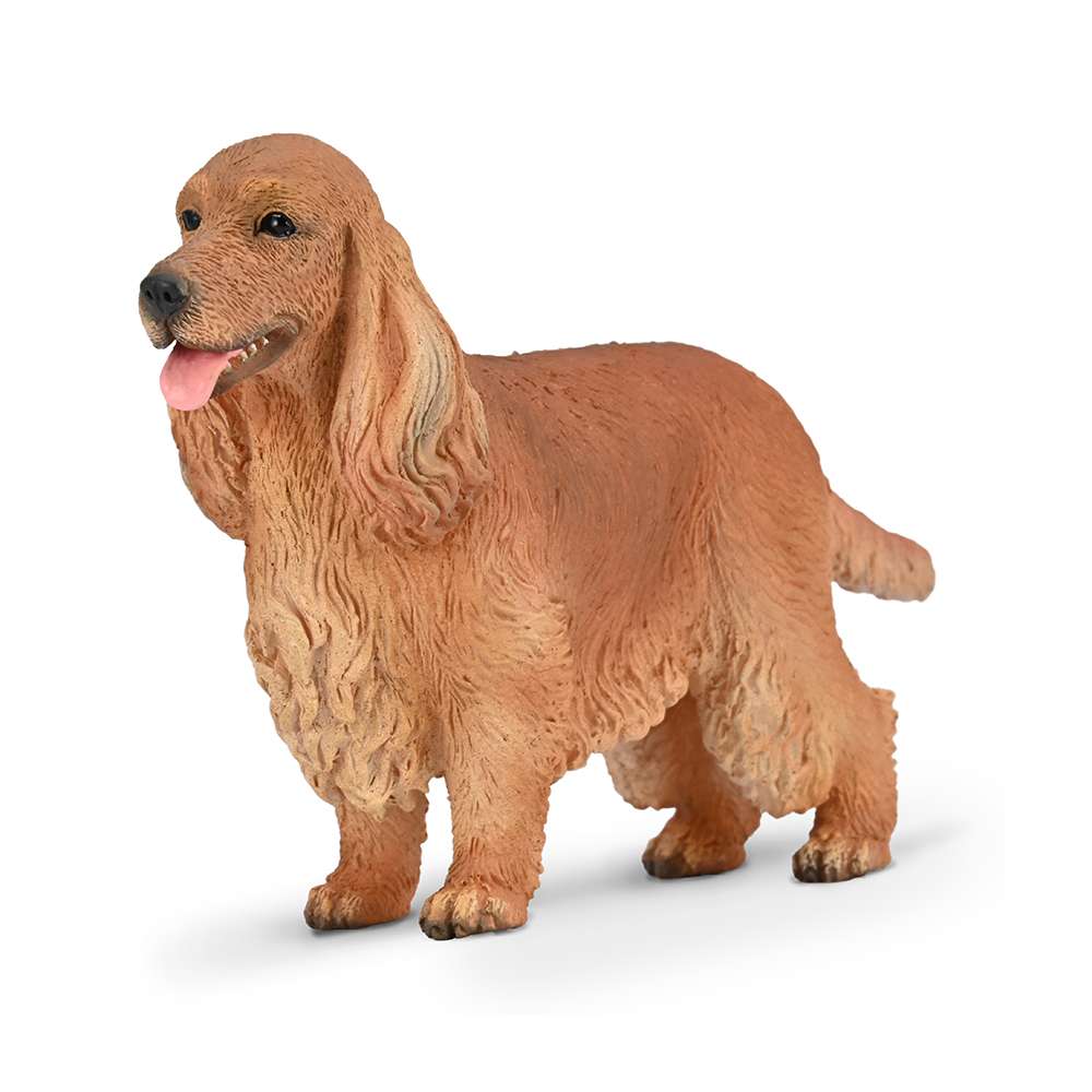 CollectA English Cocker Spaniel- Pet Dog Figure, Realistic Toy Animal Model