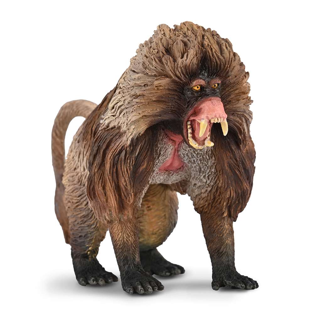 CollectA Gelada Monkey Figure, Toy Animal Model, Realistic Wildlife Figures