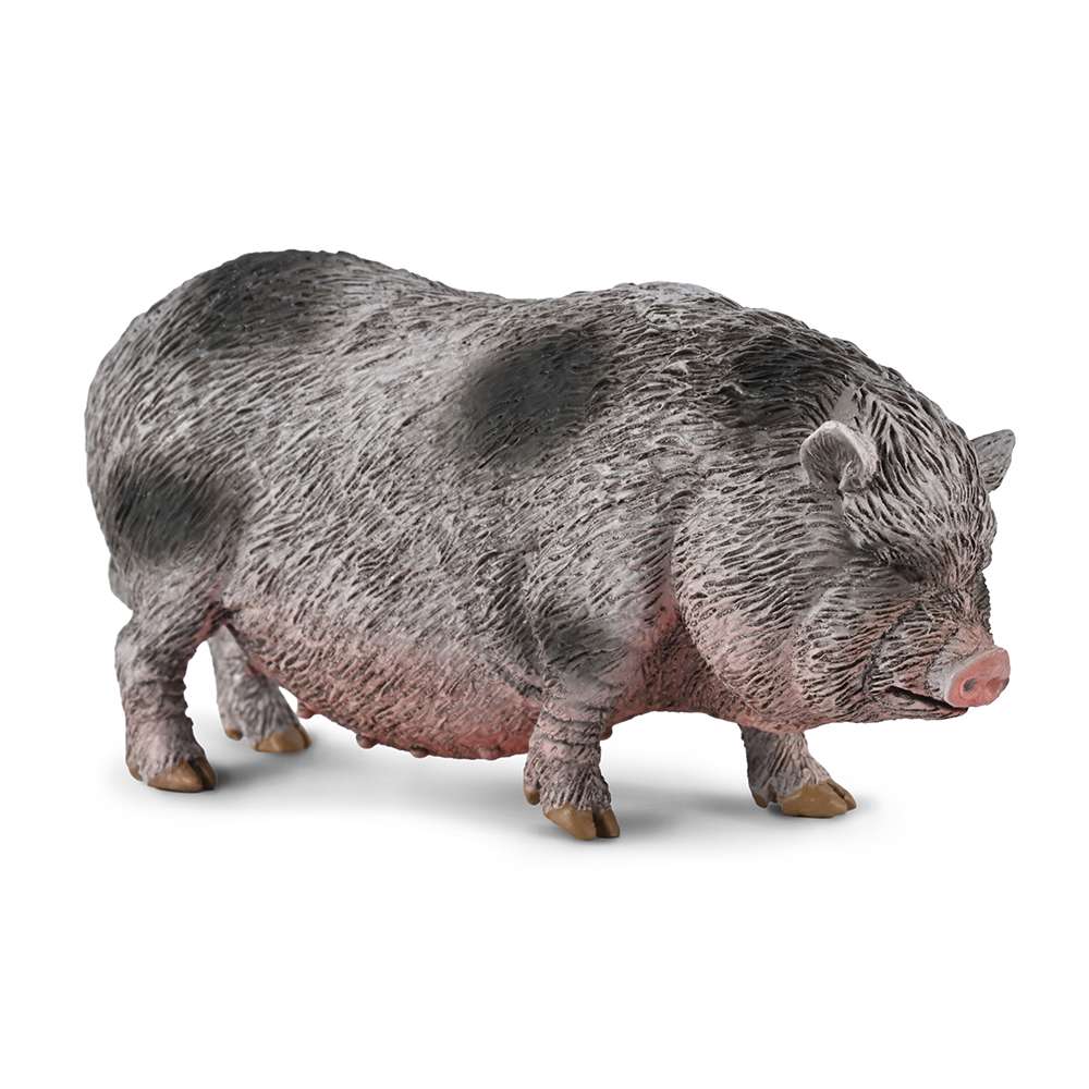 CollectA Pot-bellied Pig Model-Toy Farm Animal Figure, Collectable Animals