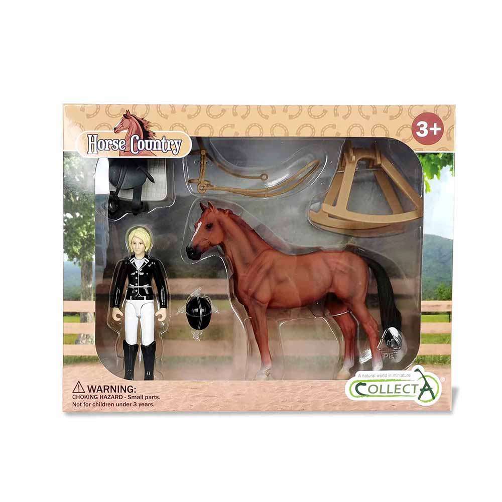 Lady Tournament Rider & Accessories Window Box