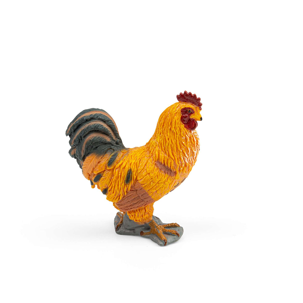 Cockerel