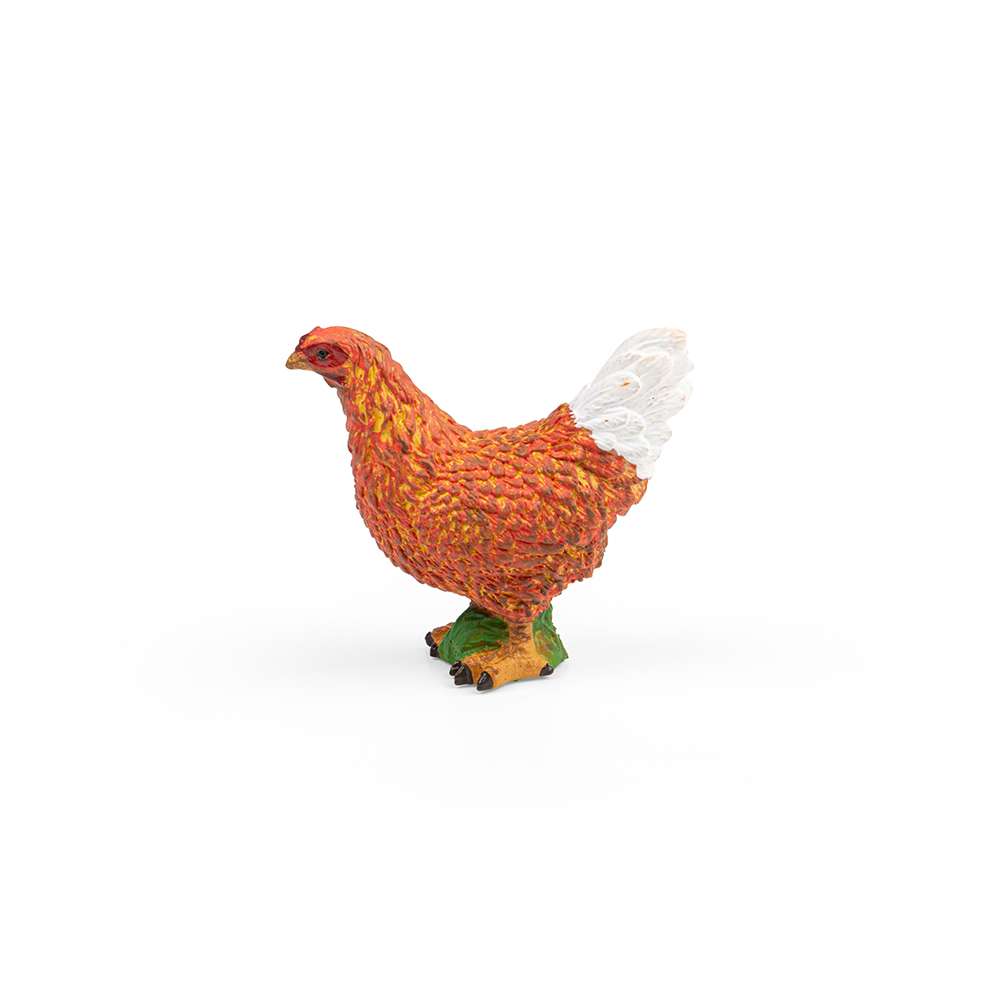 Hen