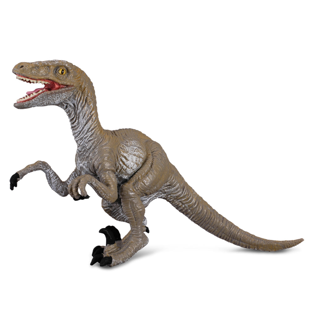 Velociraptor