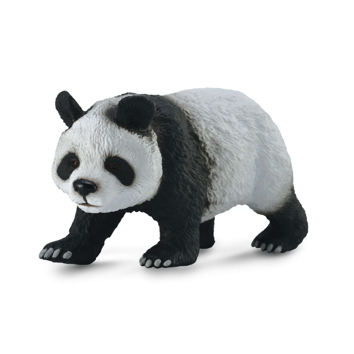 Giant Panda