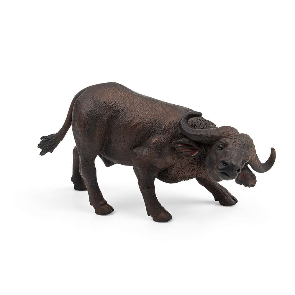 African Buffalo