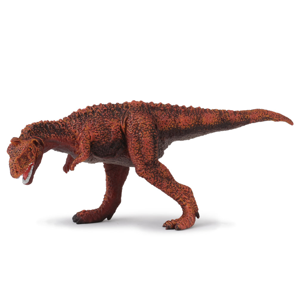 Majungatholus