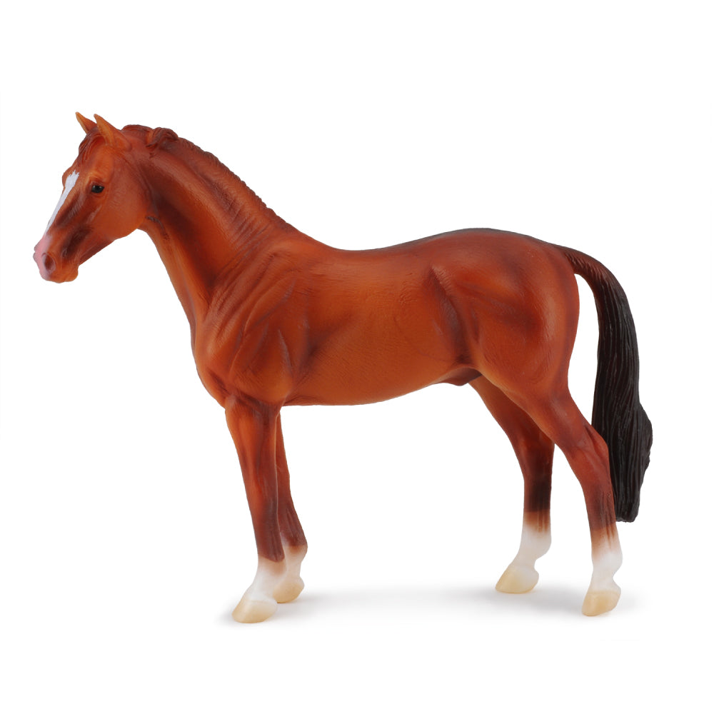 Hanoverian Chestnut