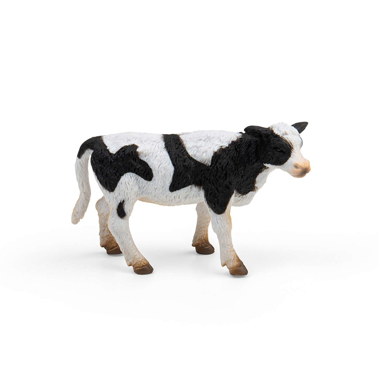 Friesian Calf Standing