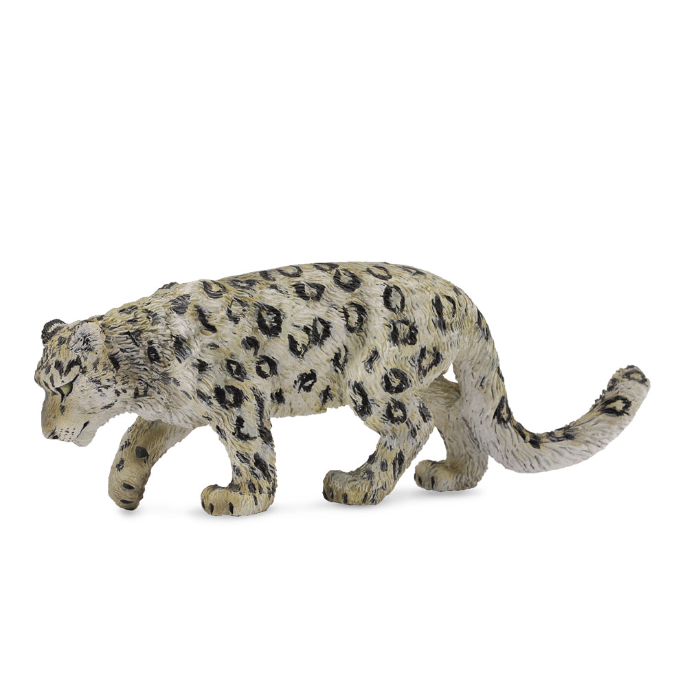 Snow Leopard
