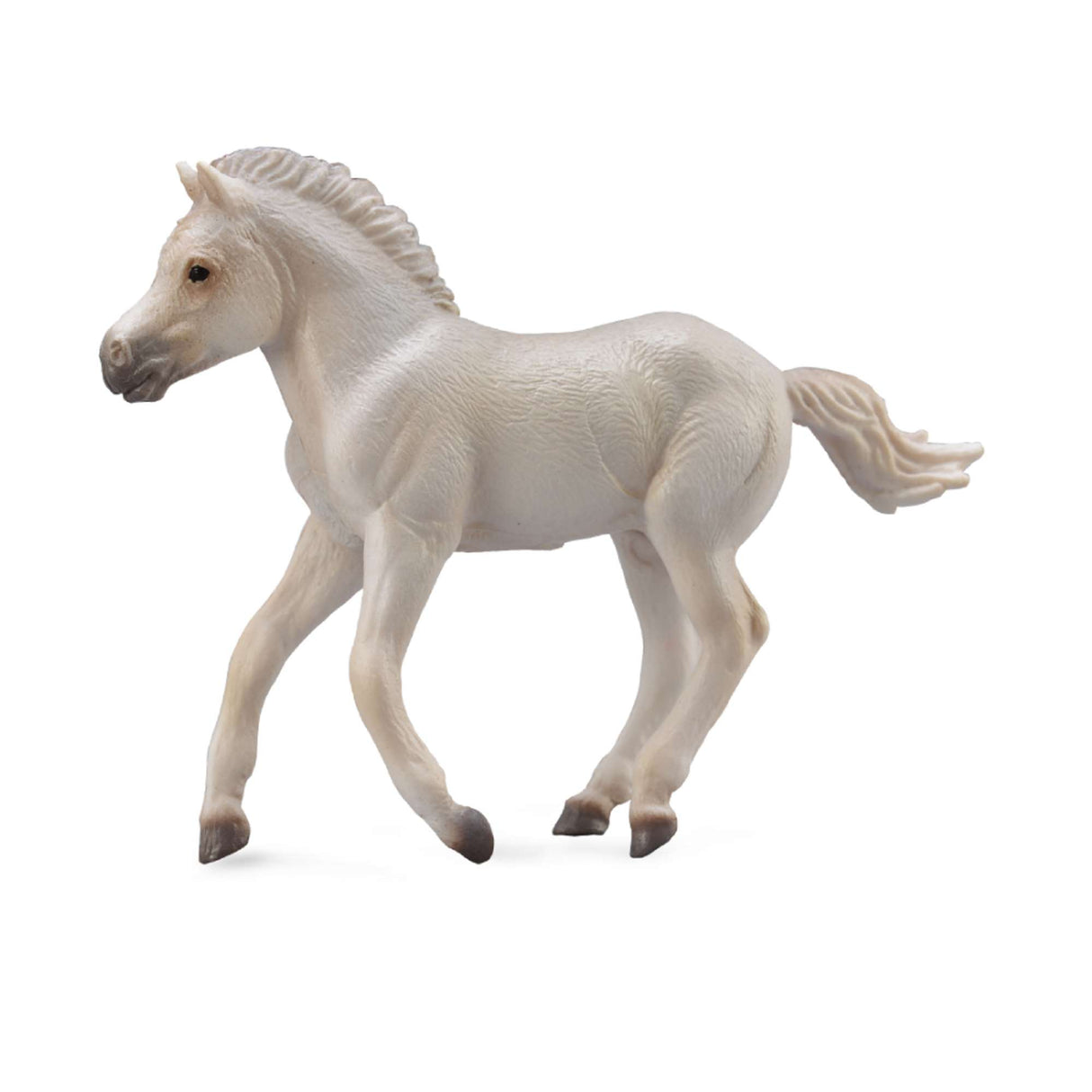Fjord Foal Grey