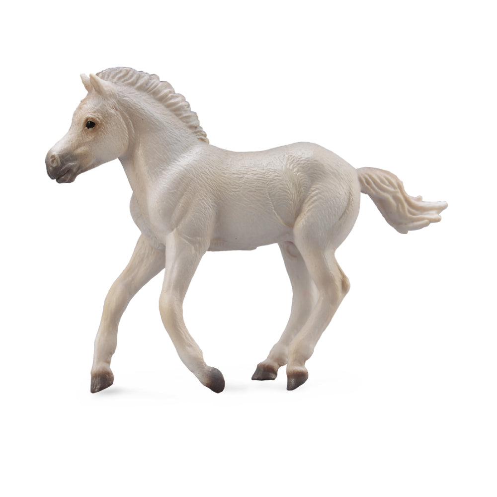 Fjord Foal Grey