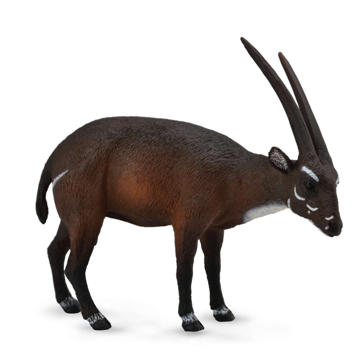 Saola
