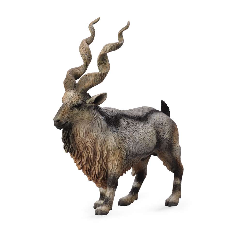 Tadjik Markhor