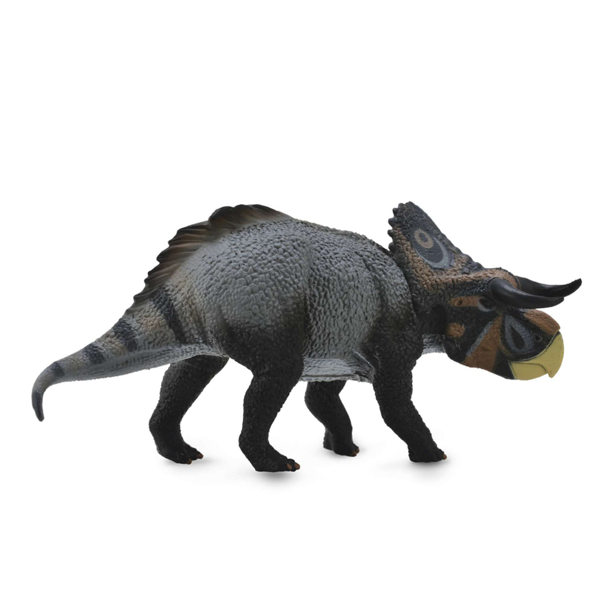 Nasutoceratops