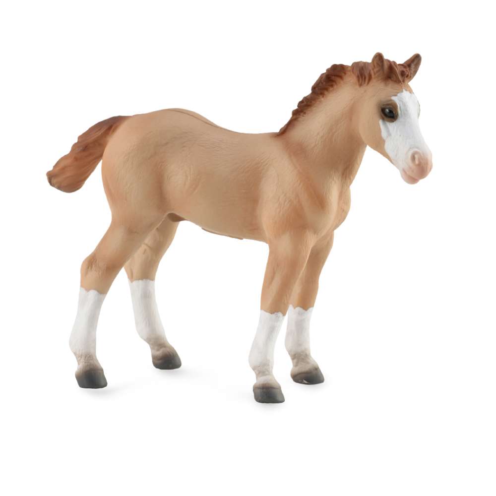 Quarter Foal - Red Dun