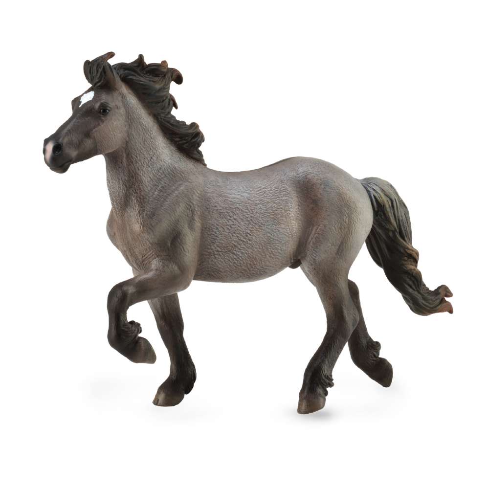 Icelandic Stallion - Blue Dun