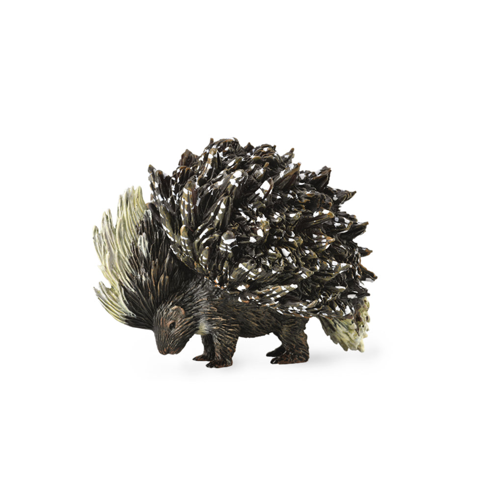 Porcupine (Indian Porcupine)