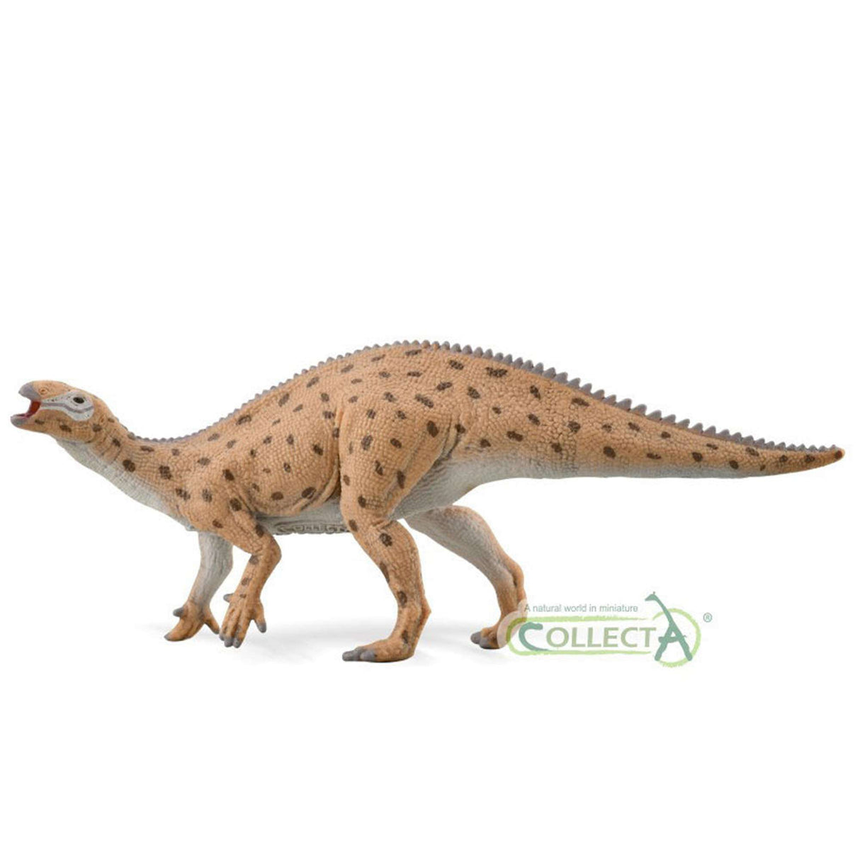 Fukuisaurus - 1:40 Scale