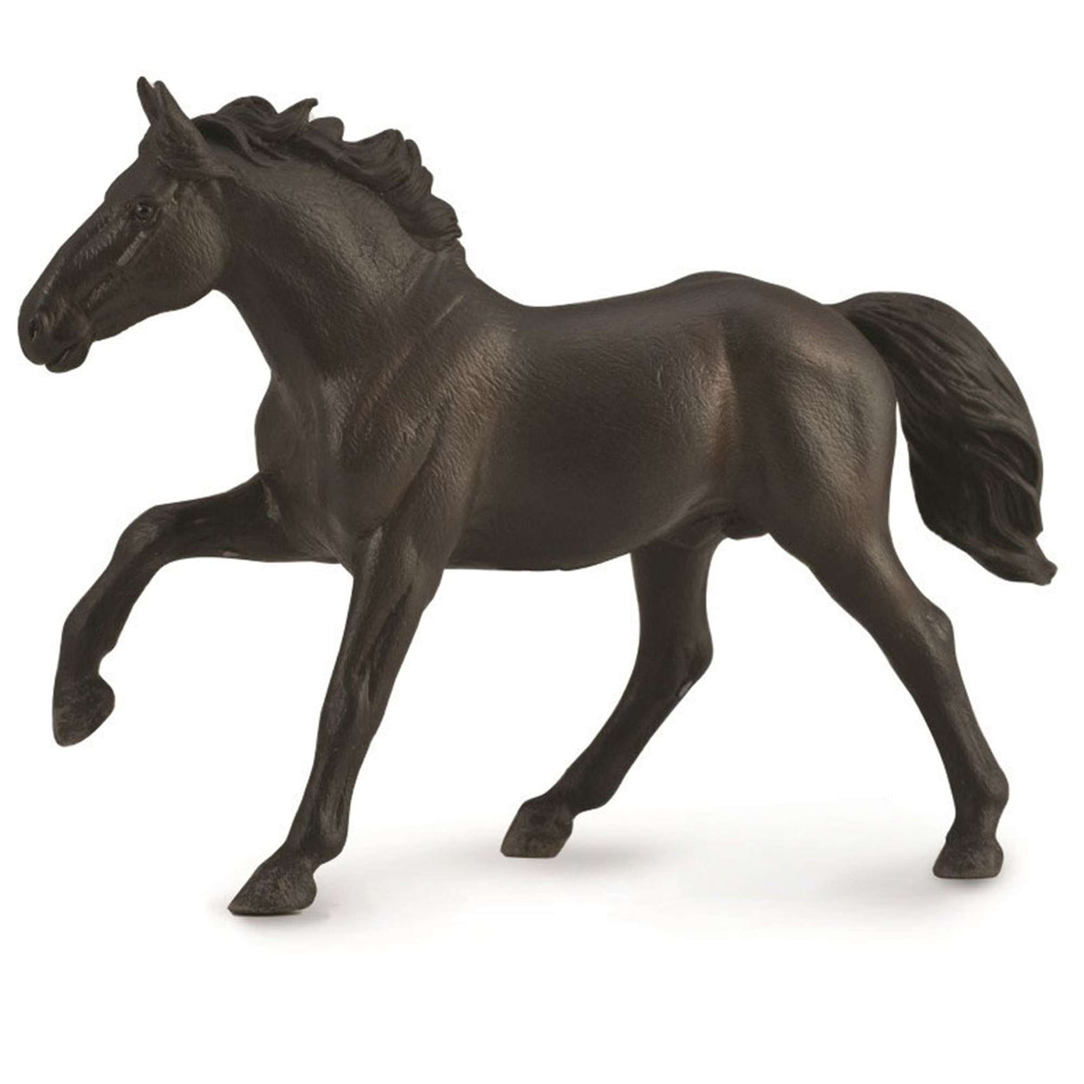 Nonius stallion