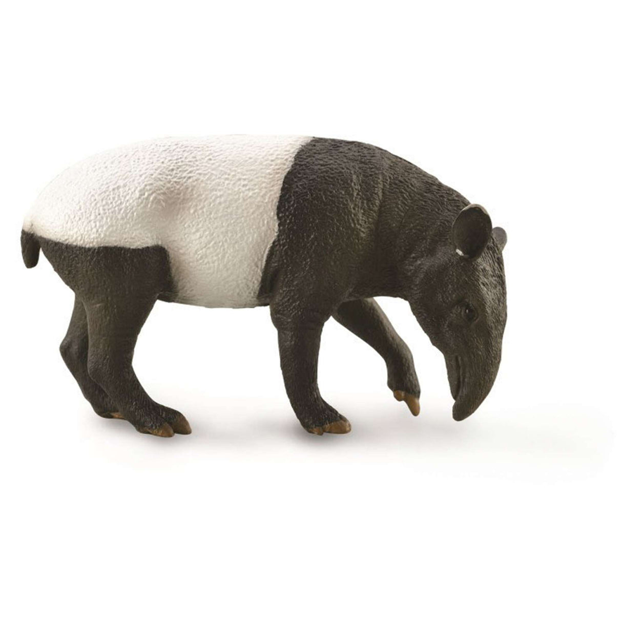 Malayan Tapir
