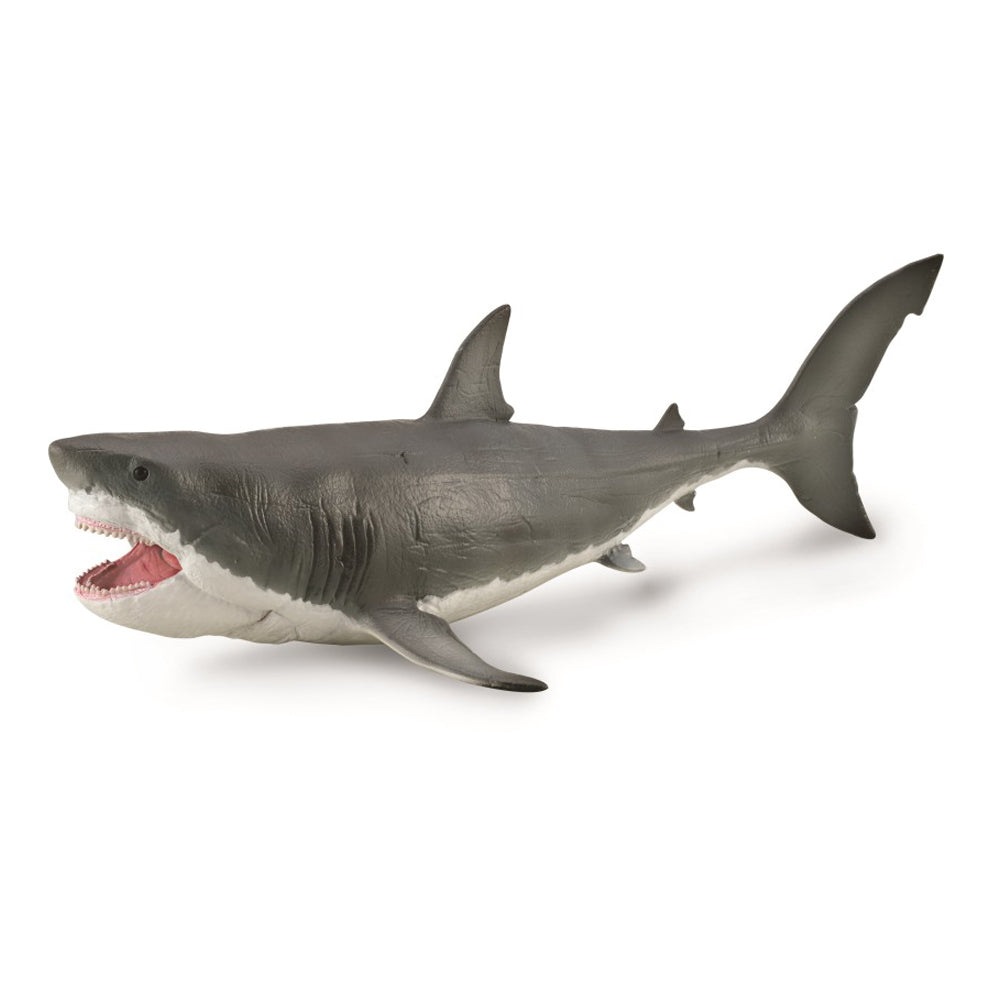 Megalodon with Movable Jaw - 1: 60 Scale
