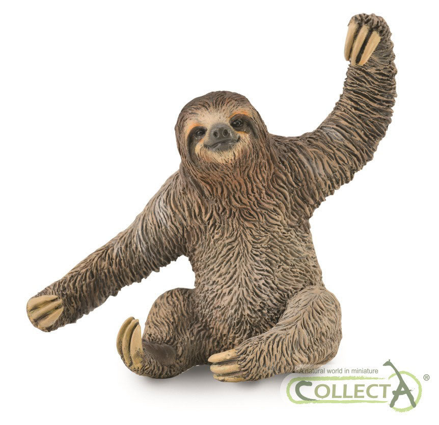 Sloth