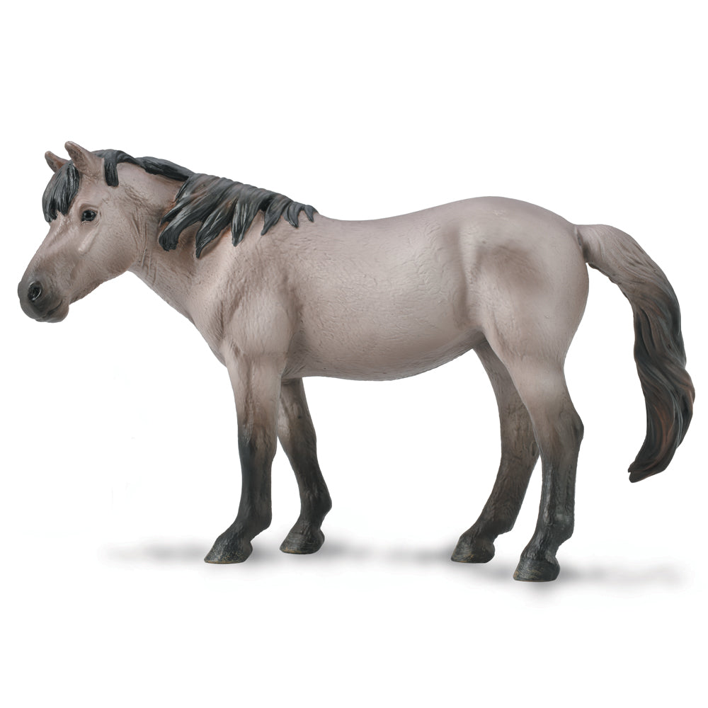 Konik Mare Blue Dun