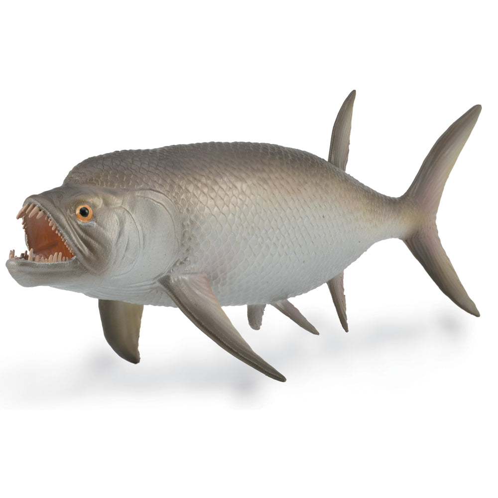 Xiphactinus - 1:40 Scale