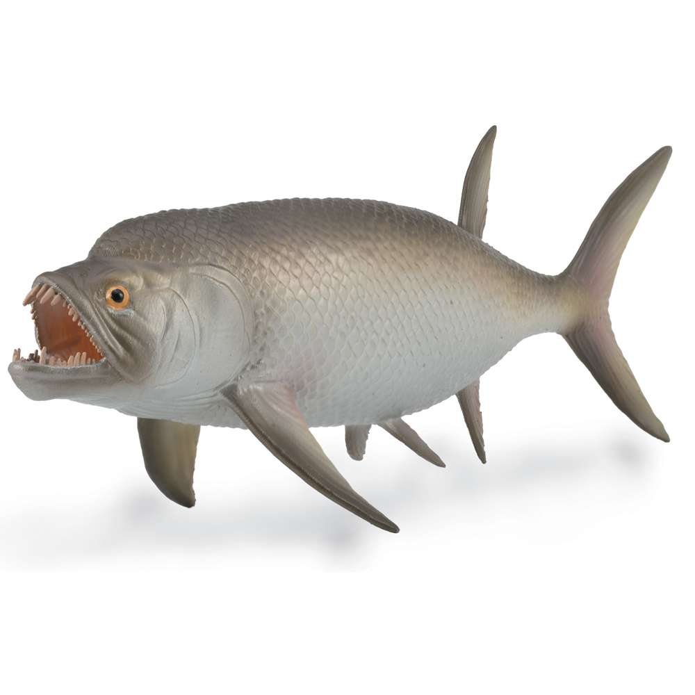 Xiphactinus - 1:40 Scale