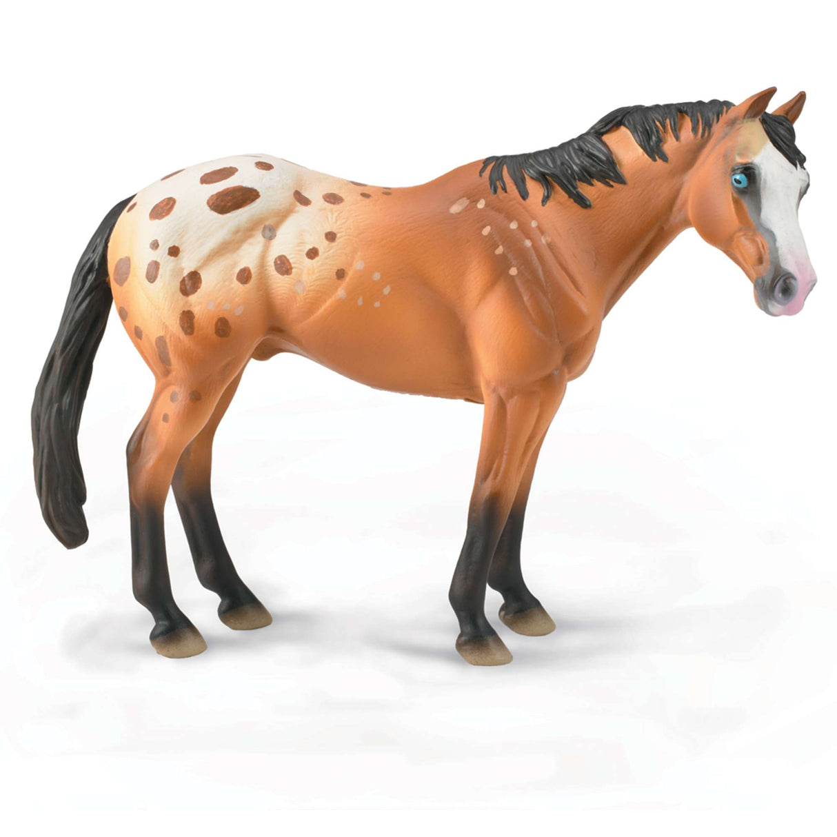 Appaloosa Stallion Light Brown