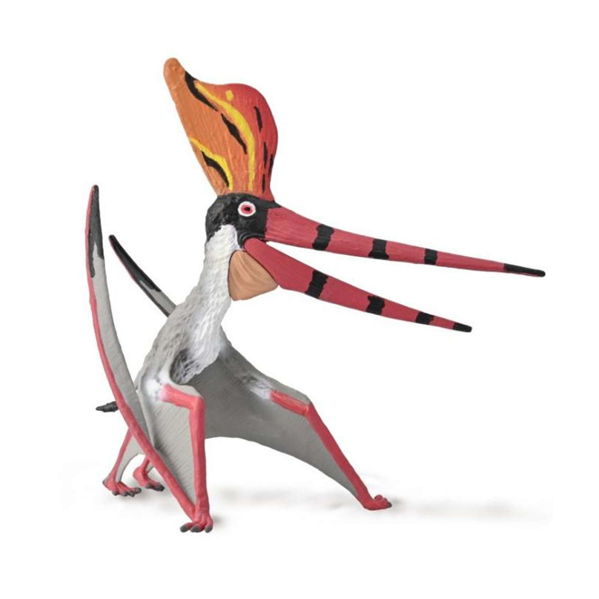 Pteranodon sternbergi with Movable Jaw Deluxe 1:20 Scale