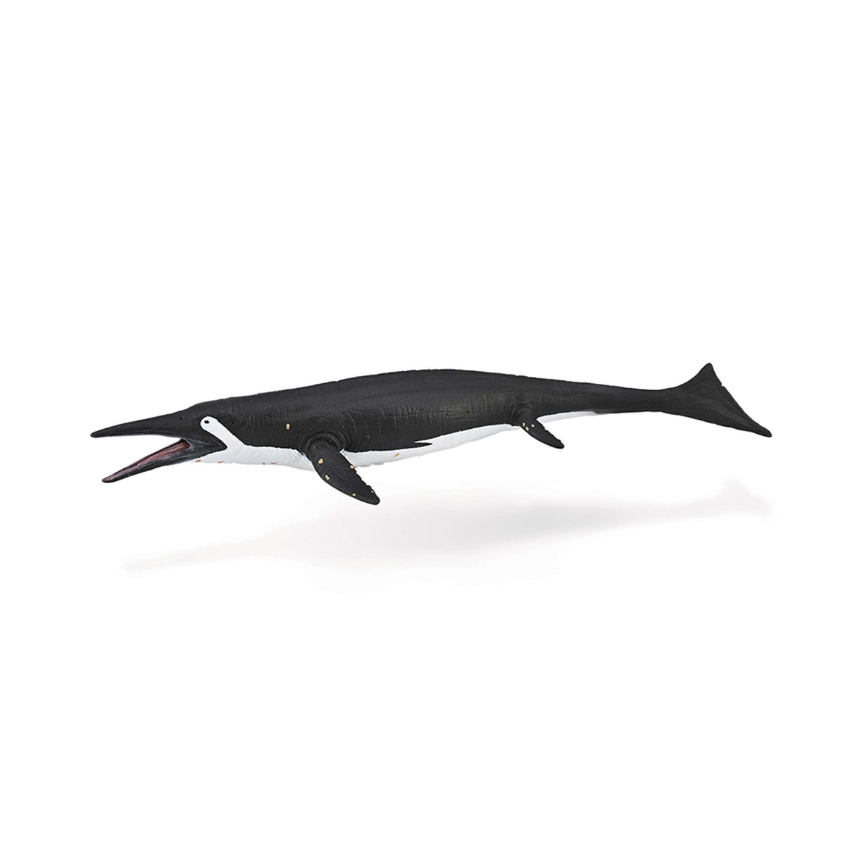 Shastasaurus