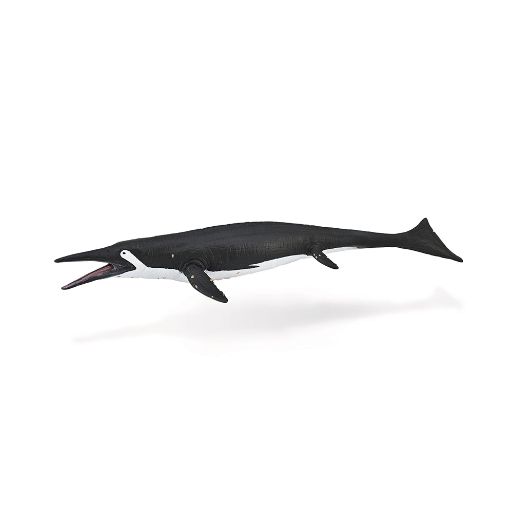 Shastasaurus