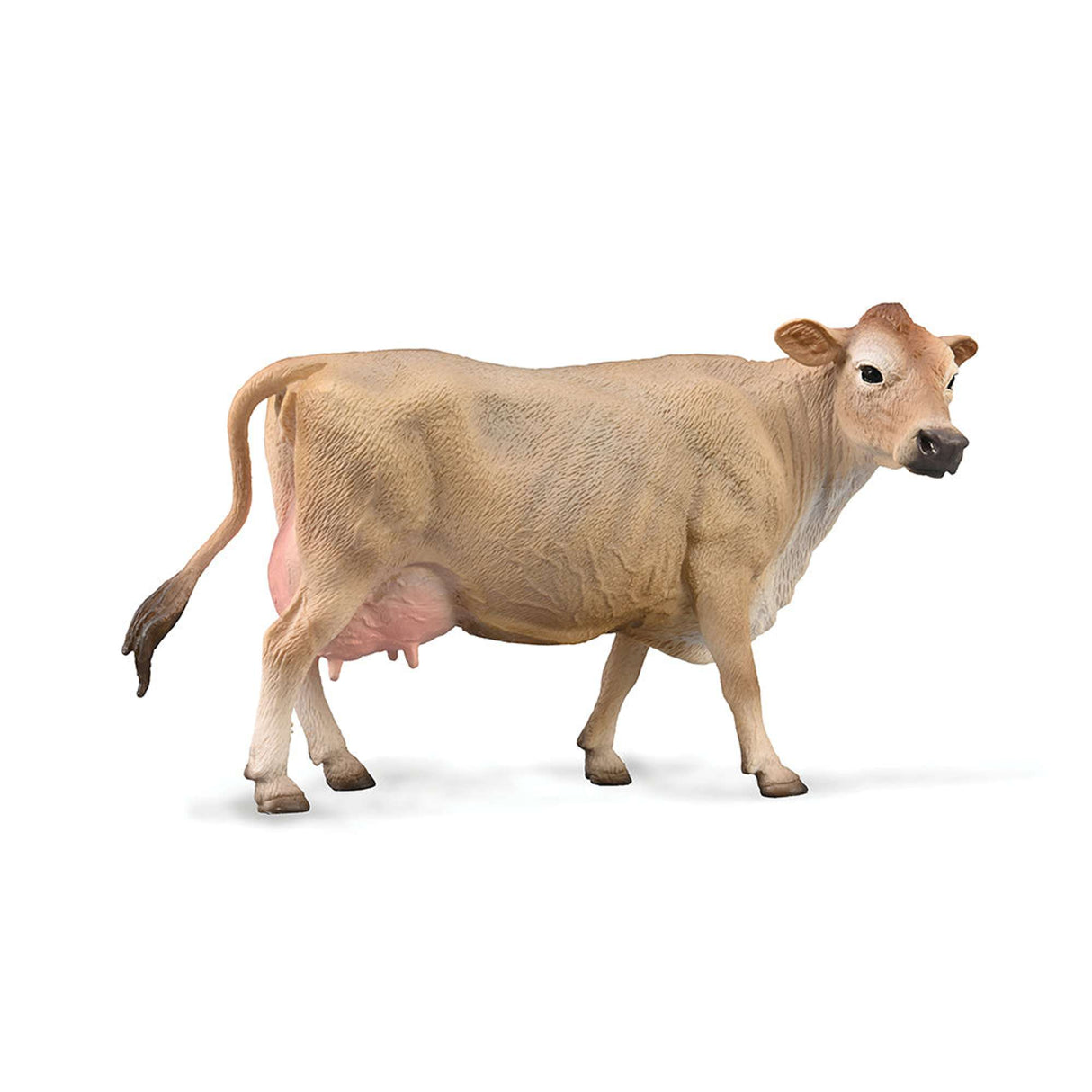 Jersey Cow