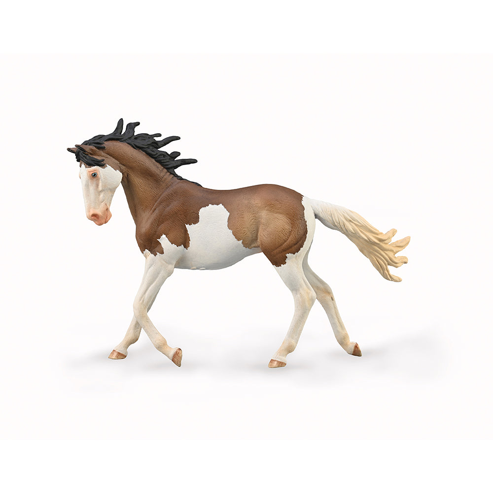 Mustang Mare - Bay Splash Overo