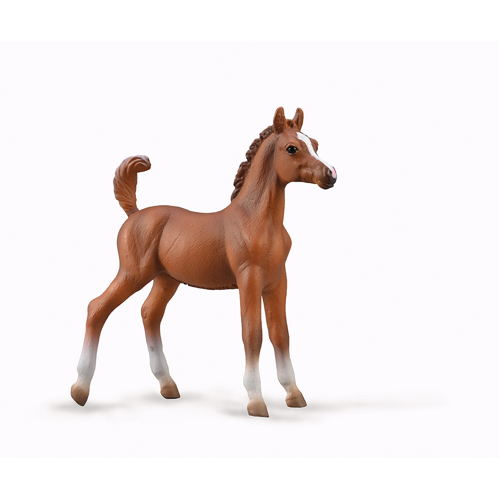 Arabian Foal - Chestnut