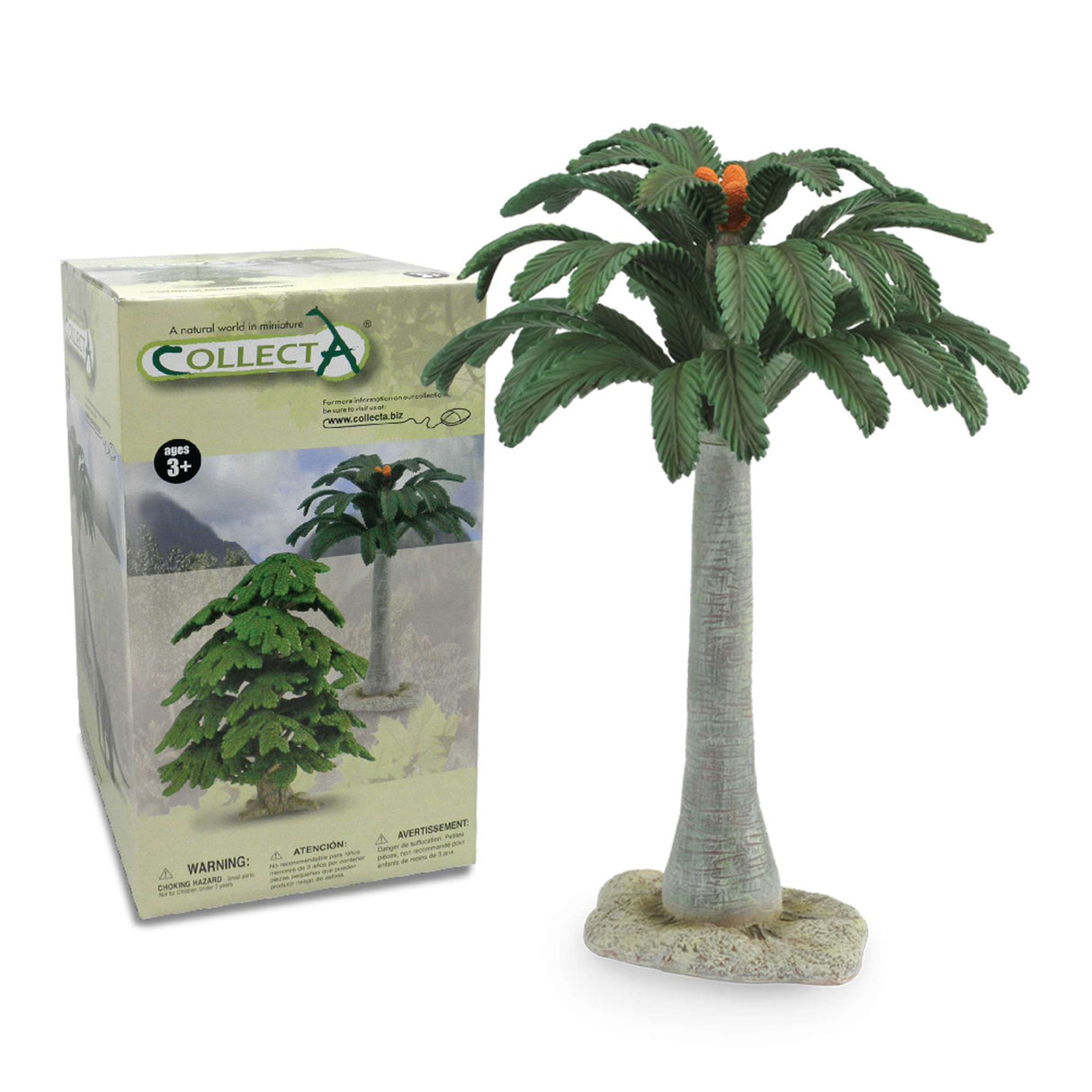 Cycad Tree Deluxe - 30cm