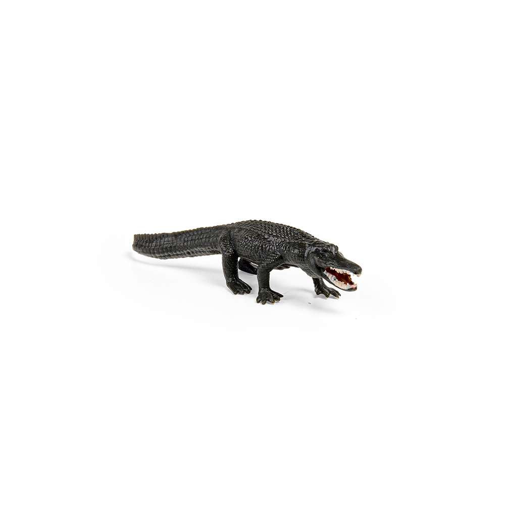 CollectA Box of Mini Reptiles & Amphibians