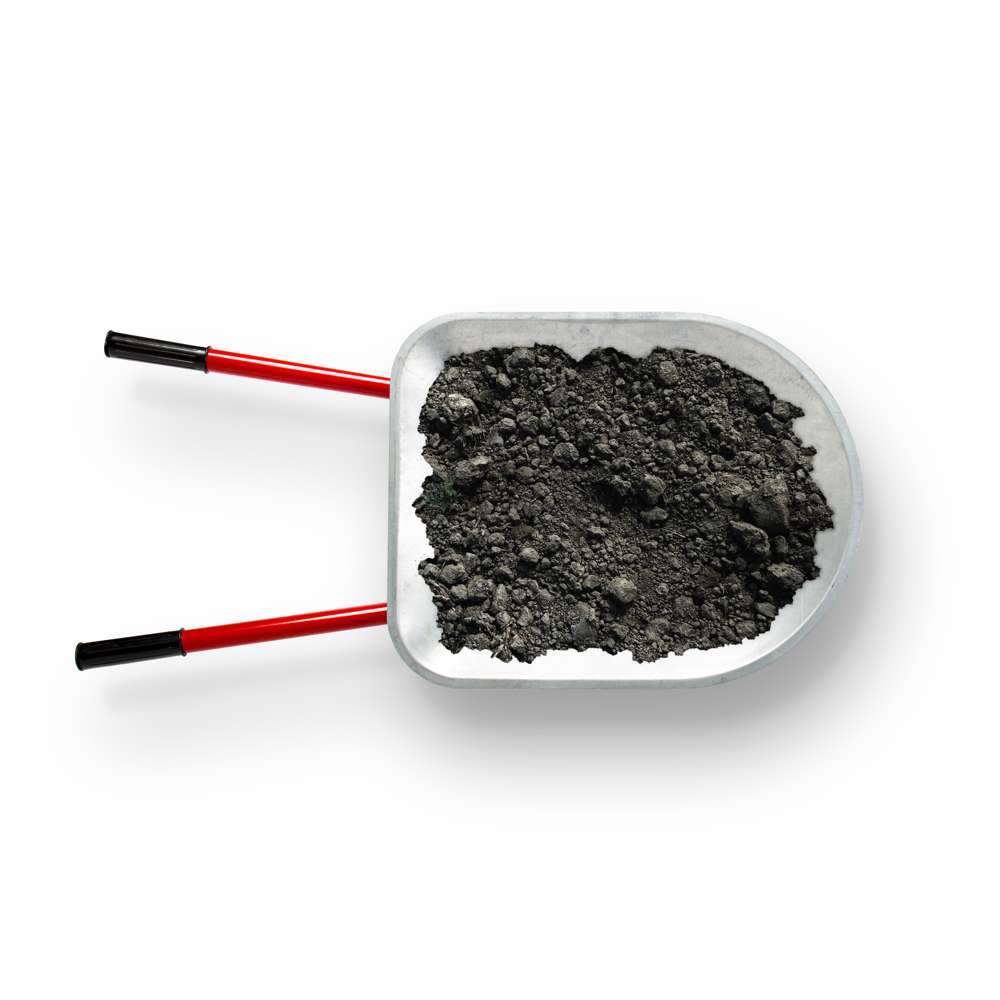 Kids 2 Wheeled Garden Wheelbarrow