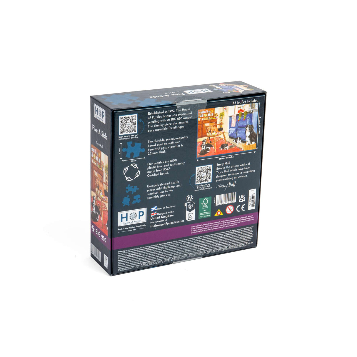 Five-A-Side - BIG 250 Piece Jigsaw Puzzle